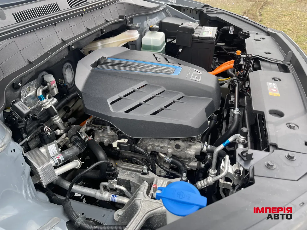 Hyundai Kona - фото 46