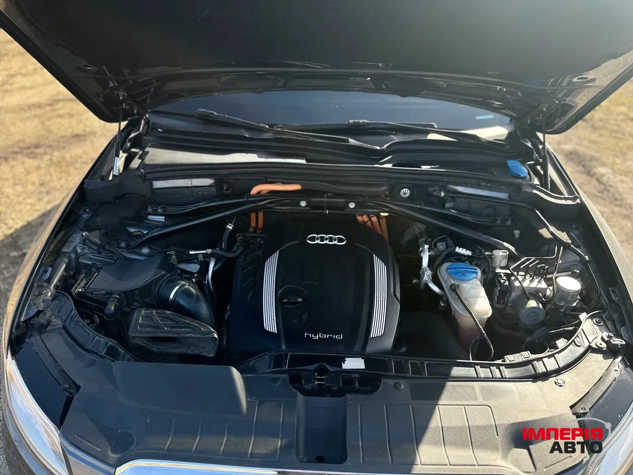 Audi Q5 - фото 9