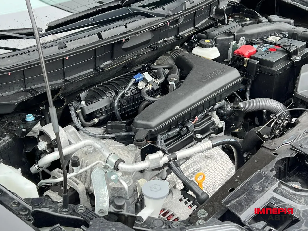 Nissan Rogue - фото 58