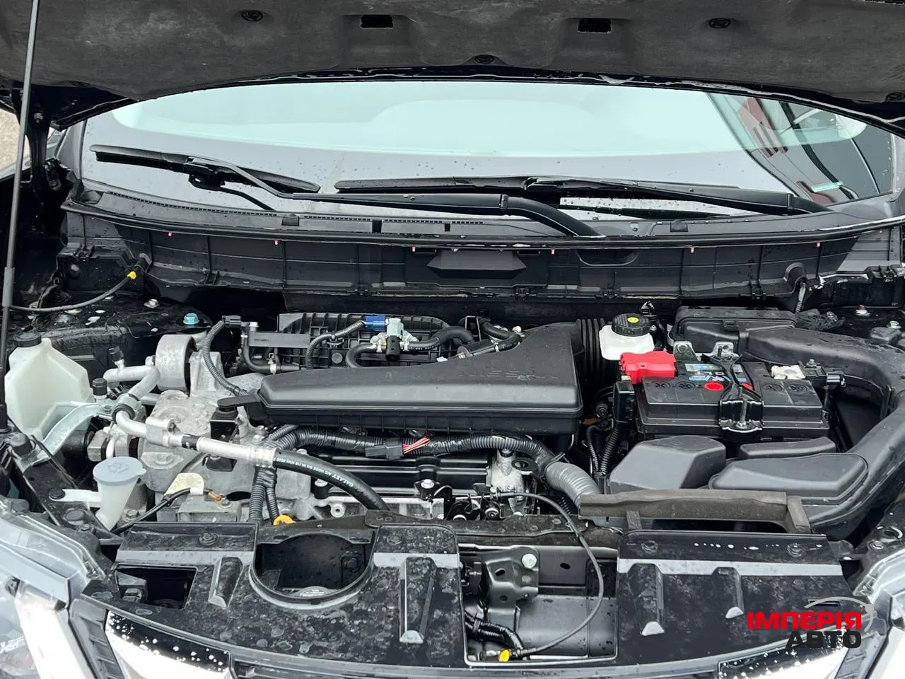 Nissan Rogue - фото 59