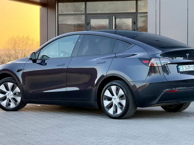 Tesla Model Y - фото 2
