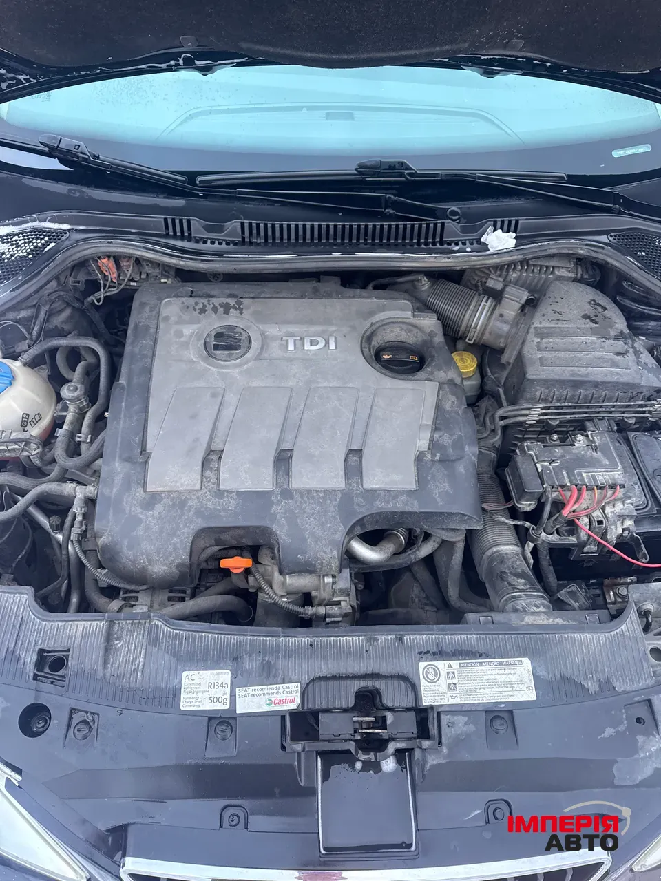SEAT Ibiza - фото 38