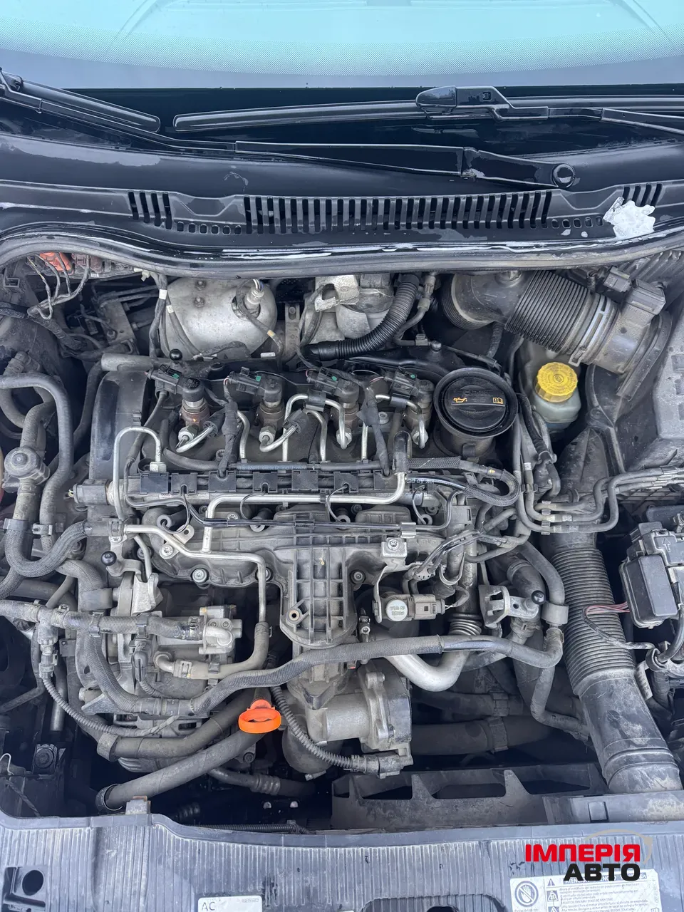 SEAT Ibiza - фото 39