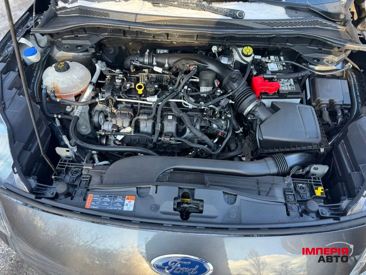 Ford Escape - фото 4