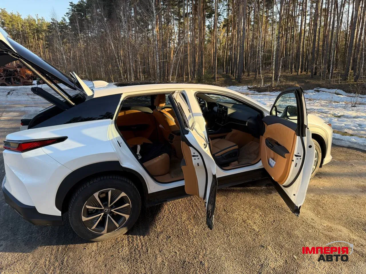 Lexus RZ - фото 8