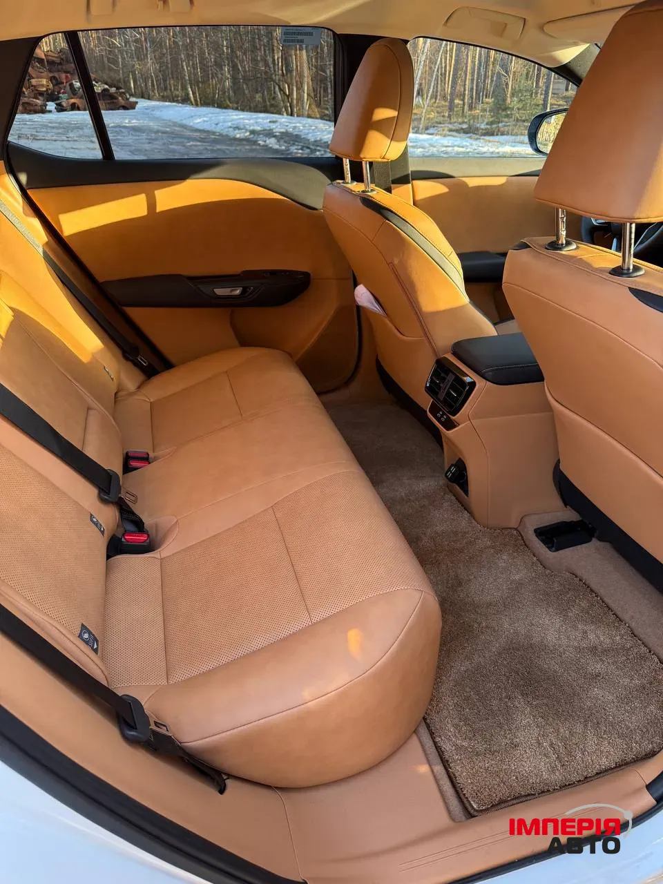 Lexus RZ - фото 11