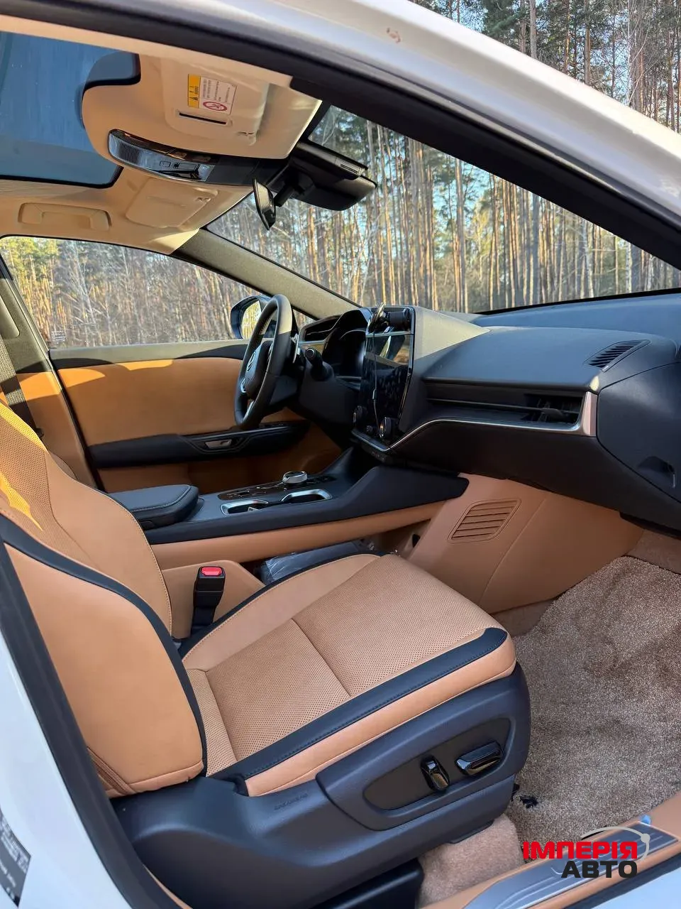 Lexus RZ - фото 6