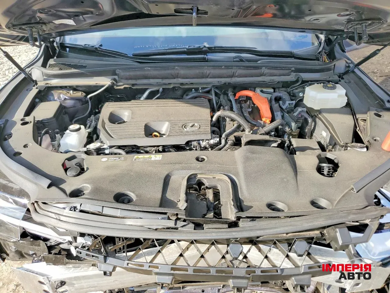 Lexus RX - фото 11