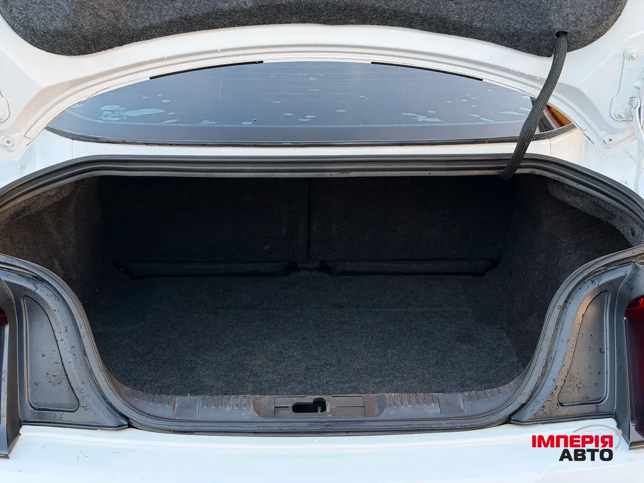 Ford Mustang - фото 11