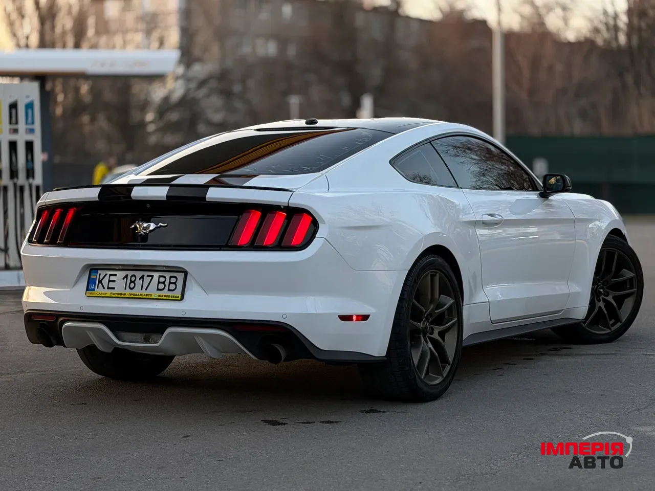 Ford Mustang - фото 5