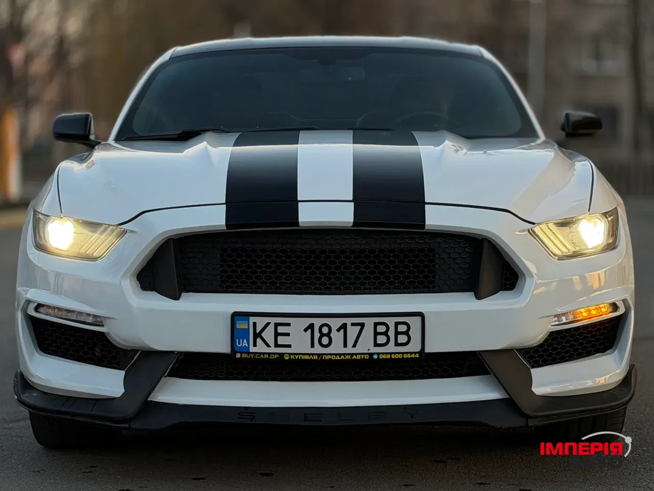 Ford Mustang - фото 8