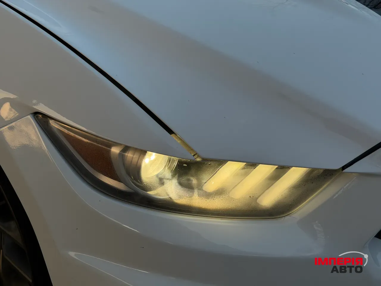 Ford Mustang - фото 30