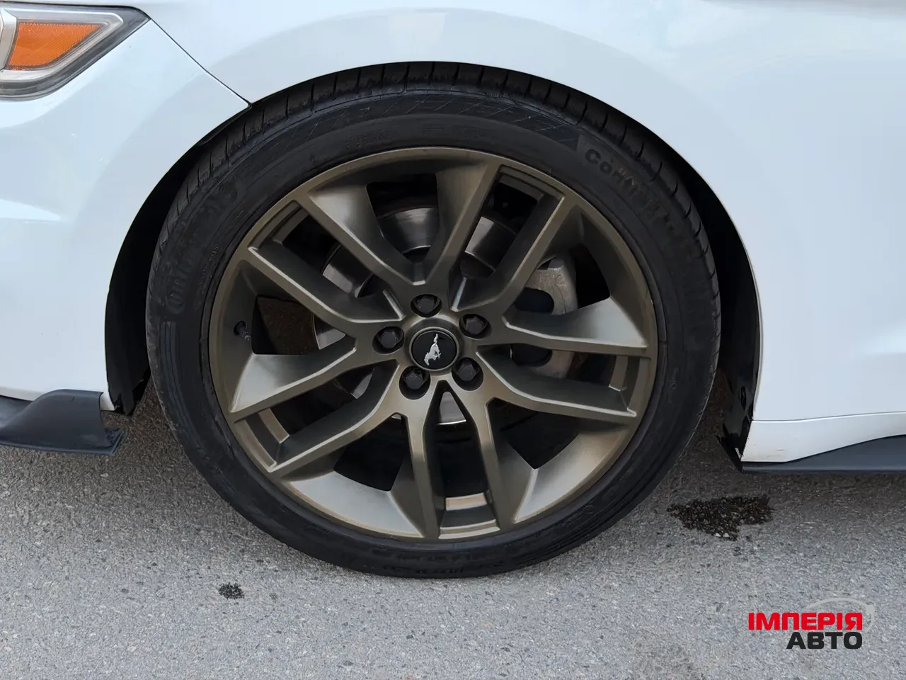 Ford Mustang - фото 18