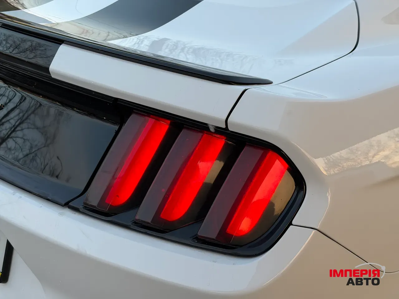 Ford Mustang - фото 22