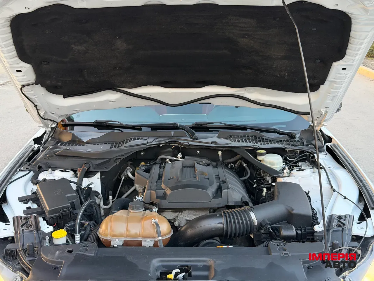 Ford Mustang - фото 12