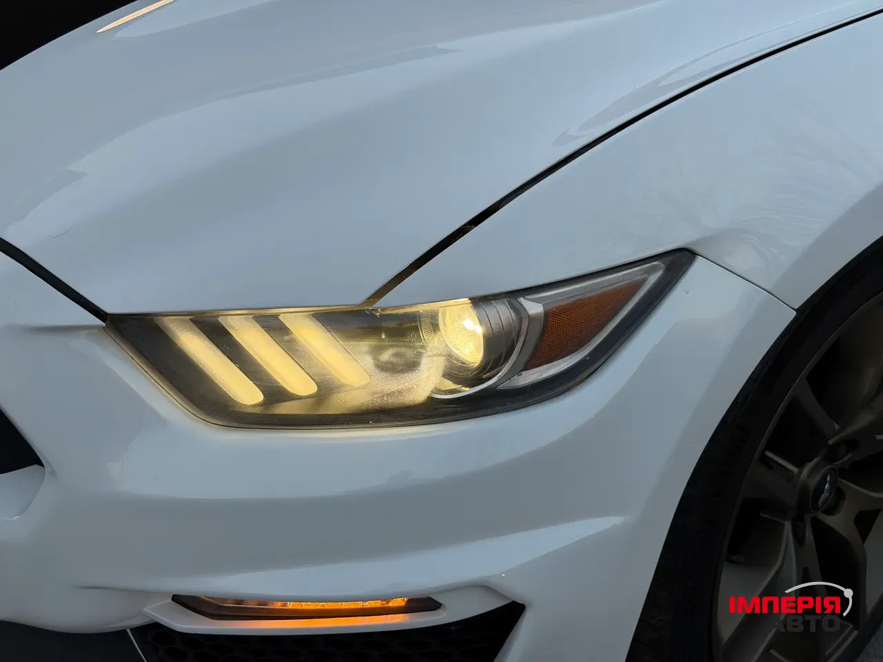Ford Mustang - фото 15