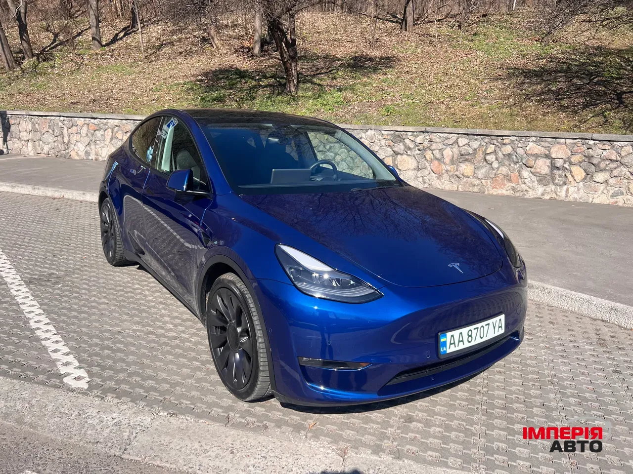 Tesla Model Y - фото 2