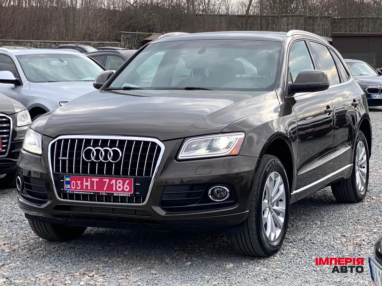 Audi Q5 - фото 1