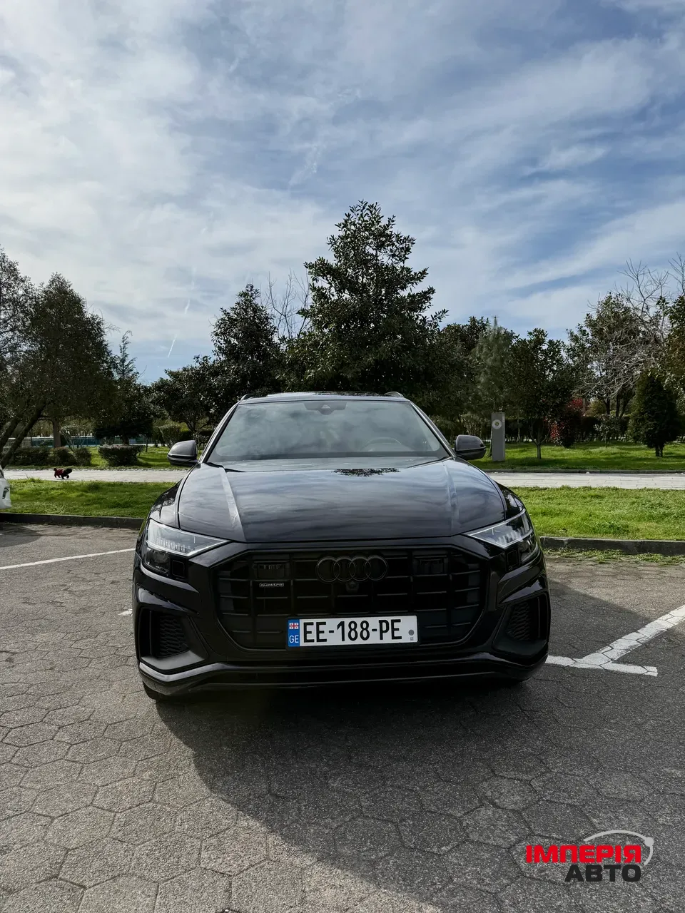 Audi Q8 - фото 2