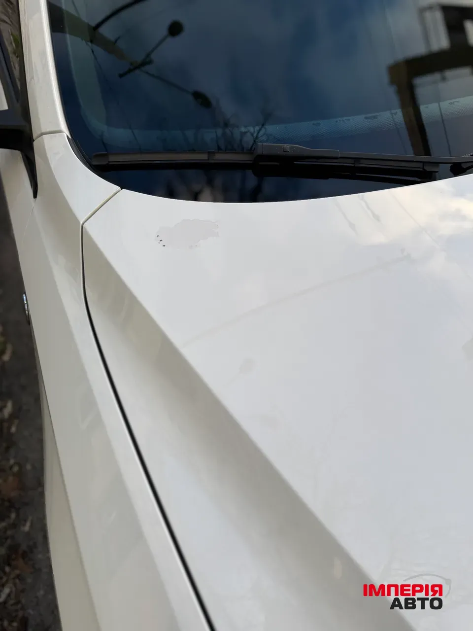 Volkswagen Passat - фото 5