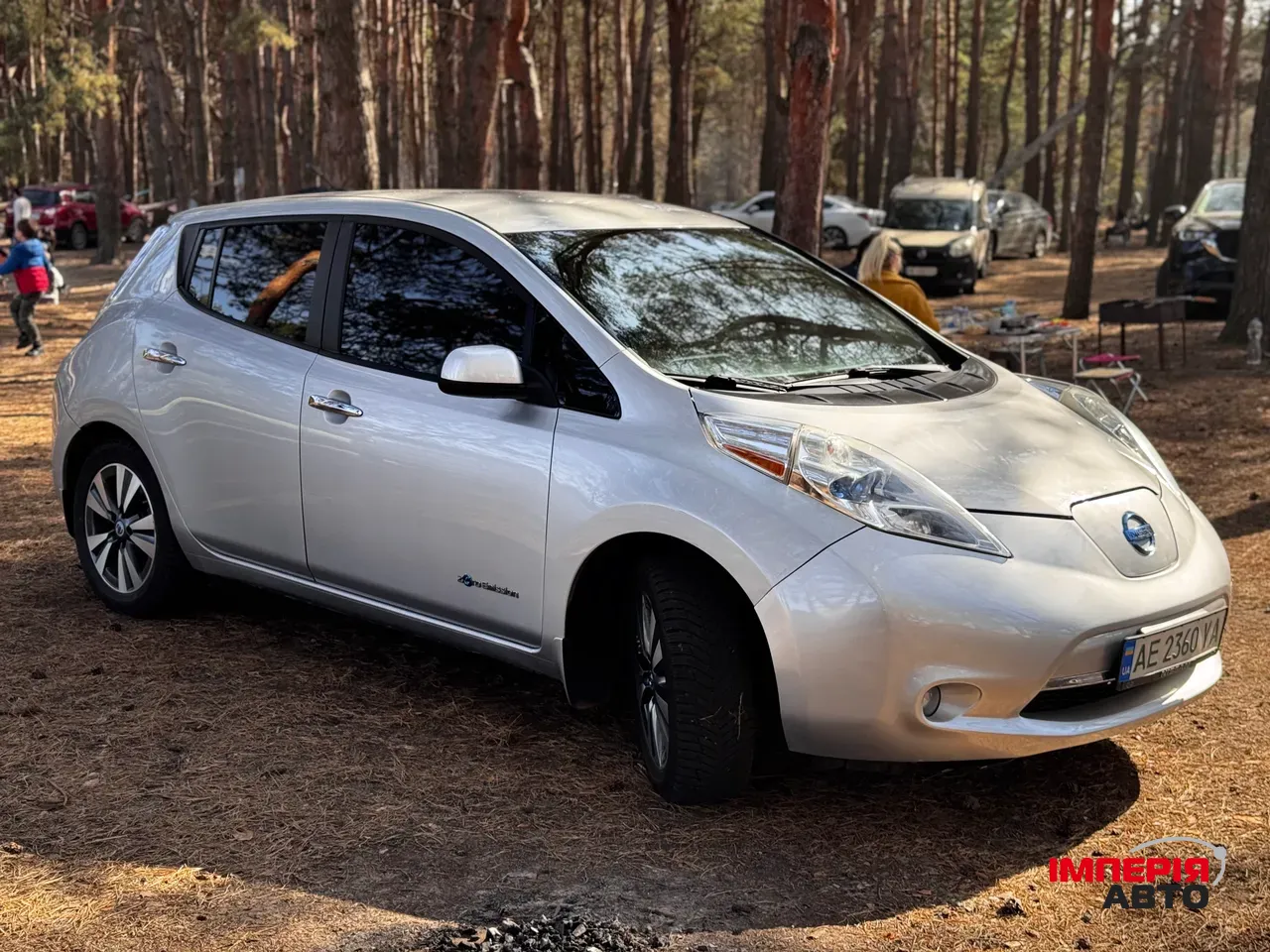 Nissan Leaf - фото 2