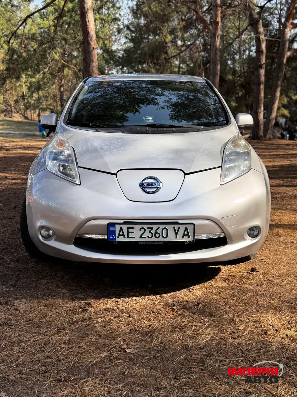 Nissan Leaf - фото 15