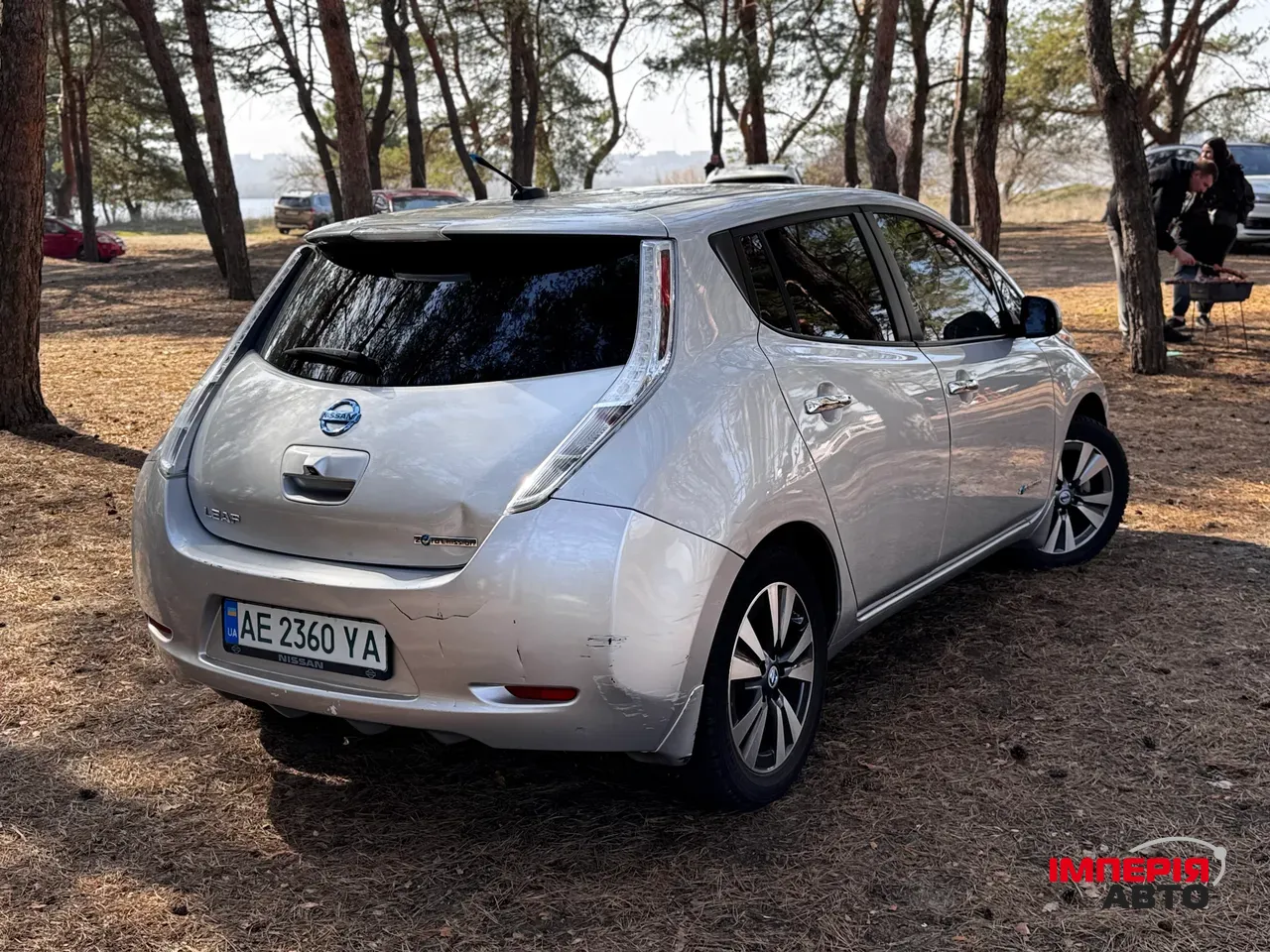 Nissan Leaf - фото 5