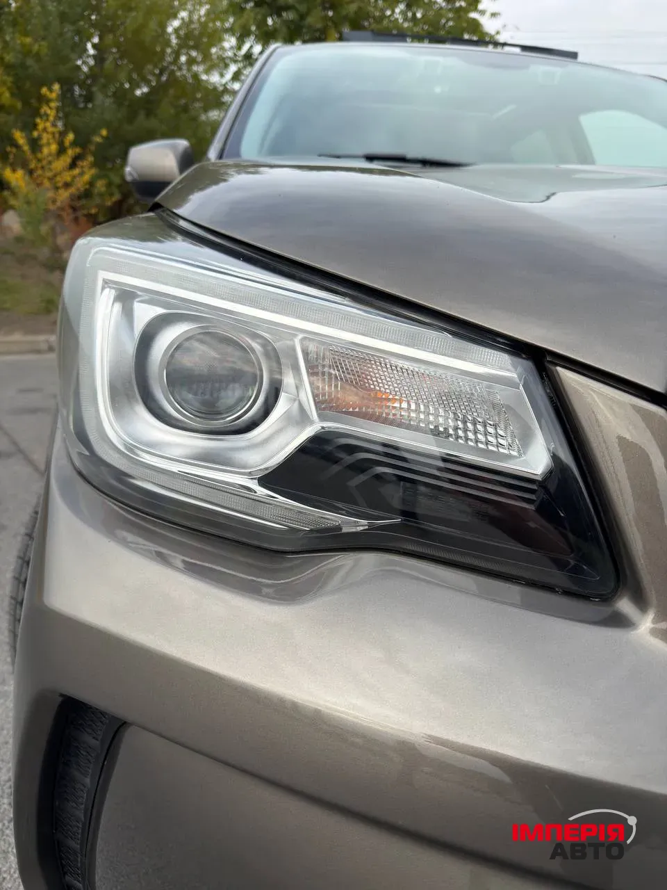 Subaru Forester - фото 4