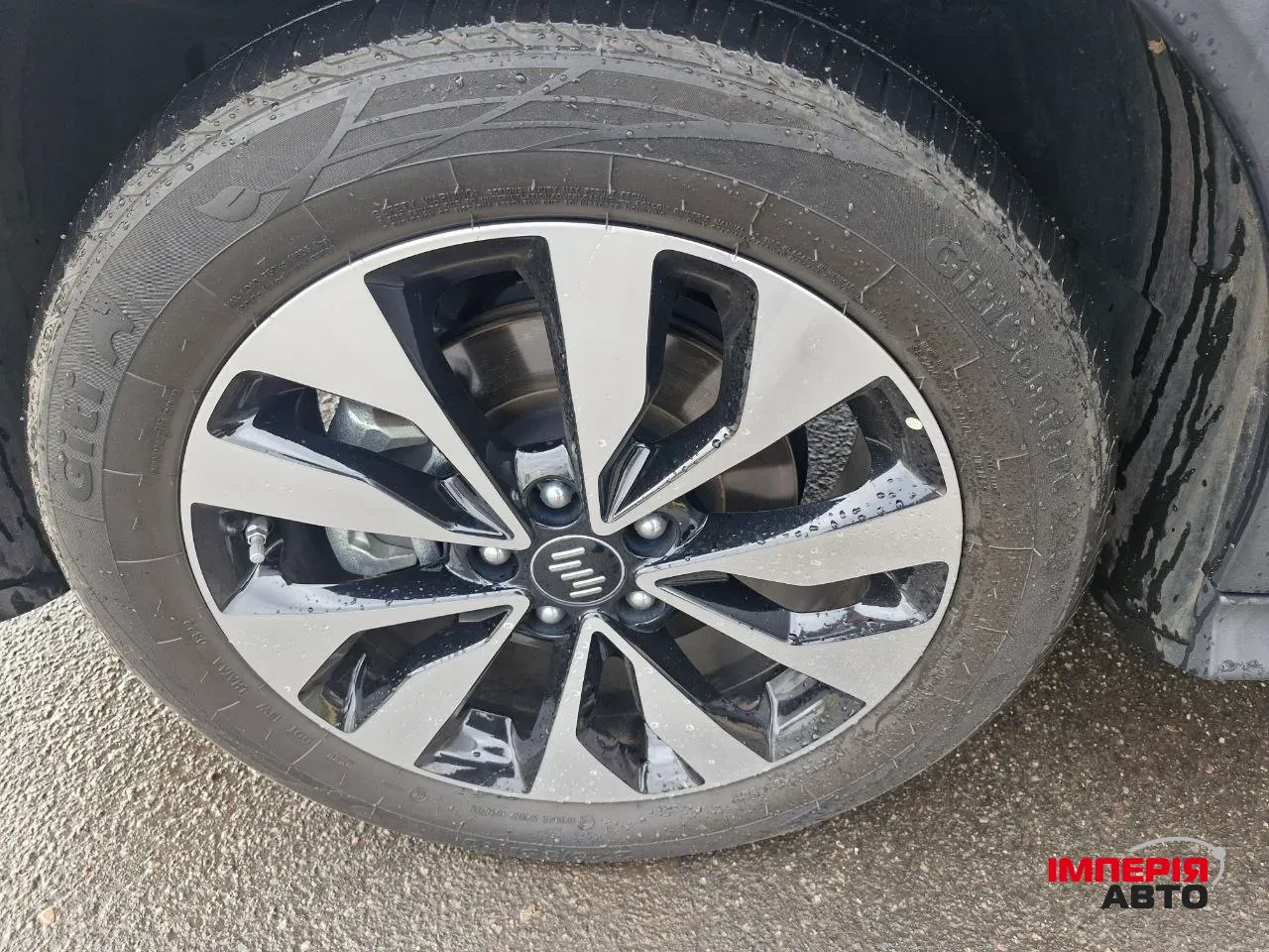 Weltmeister EX5 - фото 29