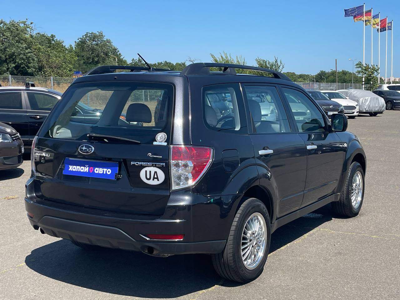 Subaru Forester - фото 4