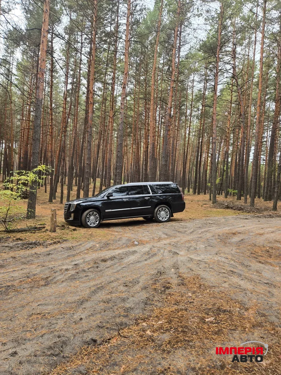 Cadillac Escalade - фото 60