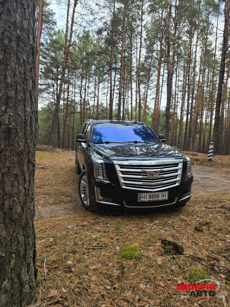 Cadillac Escalade - фото 6