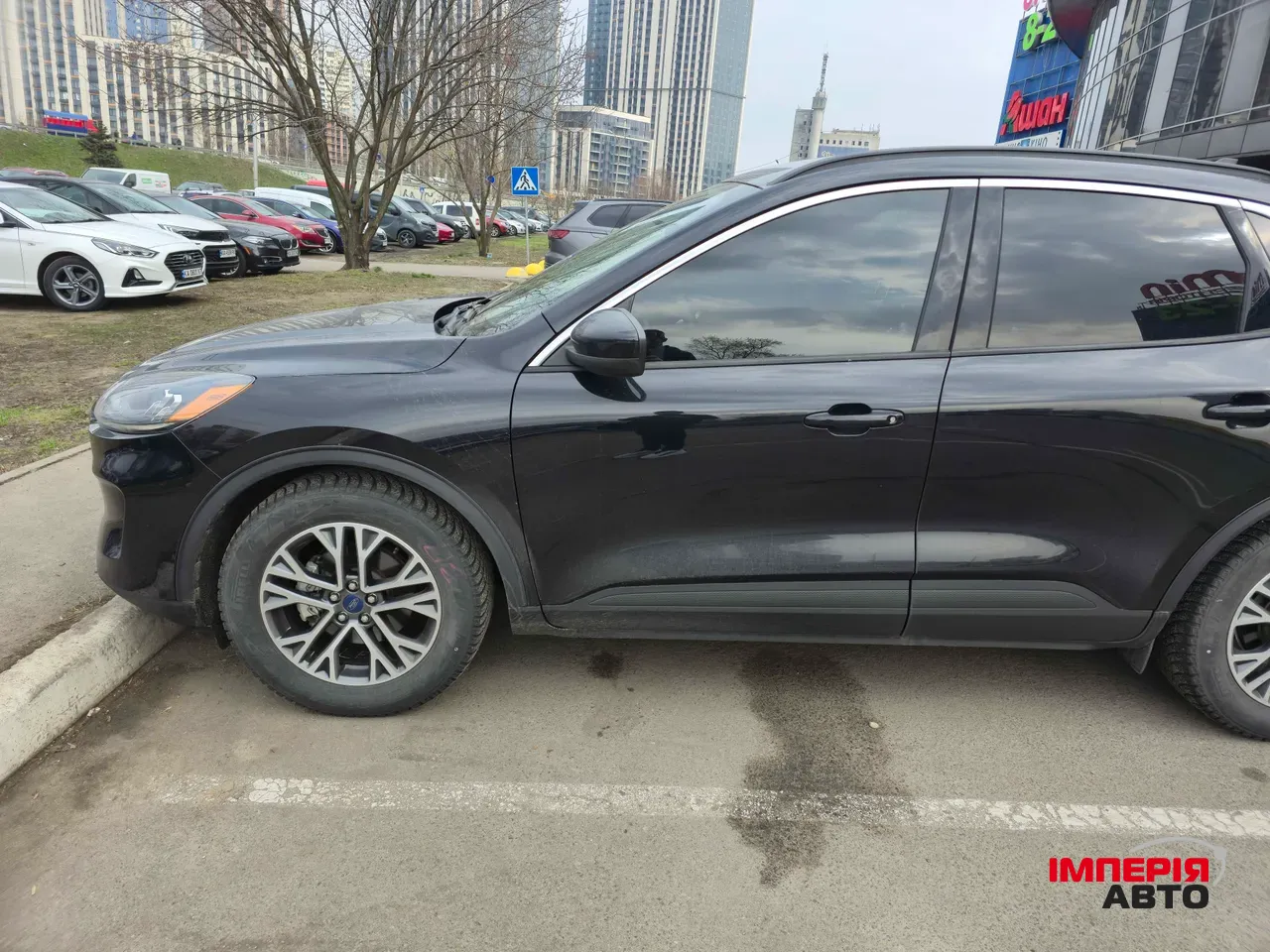 Ford Escape - фото 5