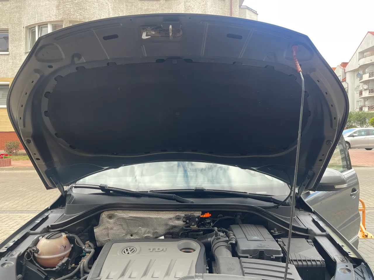 Volkswagen Tiguan - фото 33