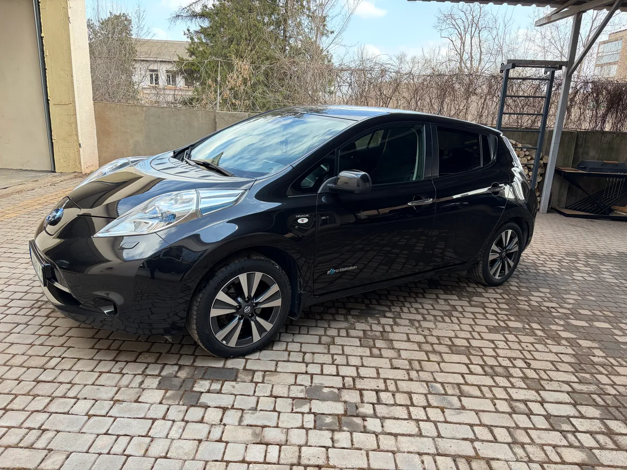 Nissan Leaf - фото 1