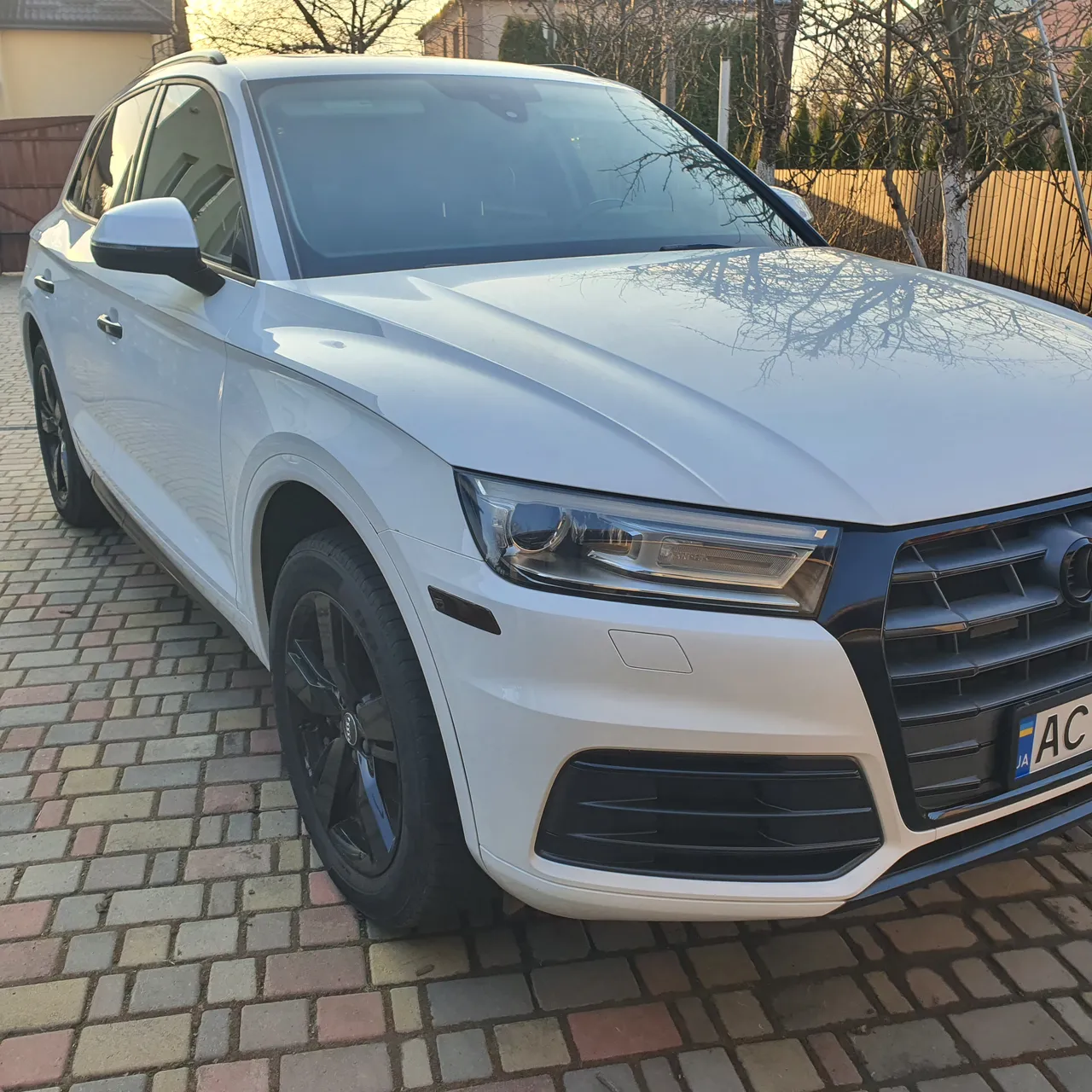 Audi Q5 - фото 1