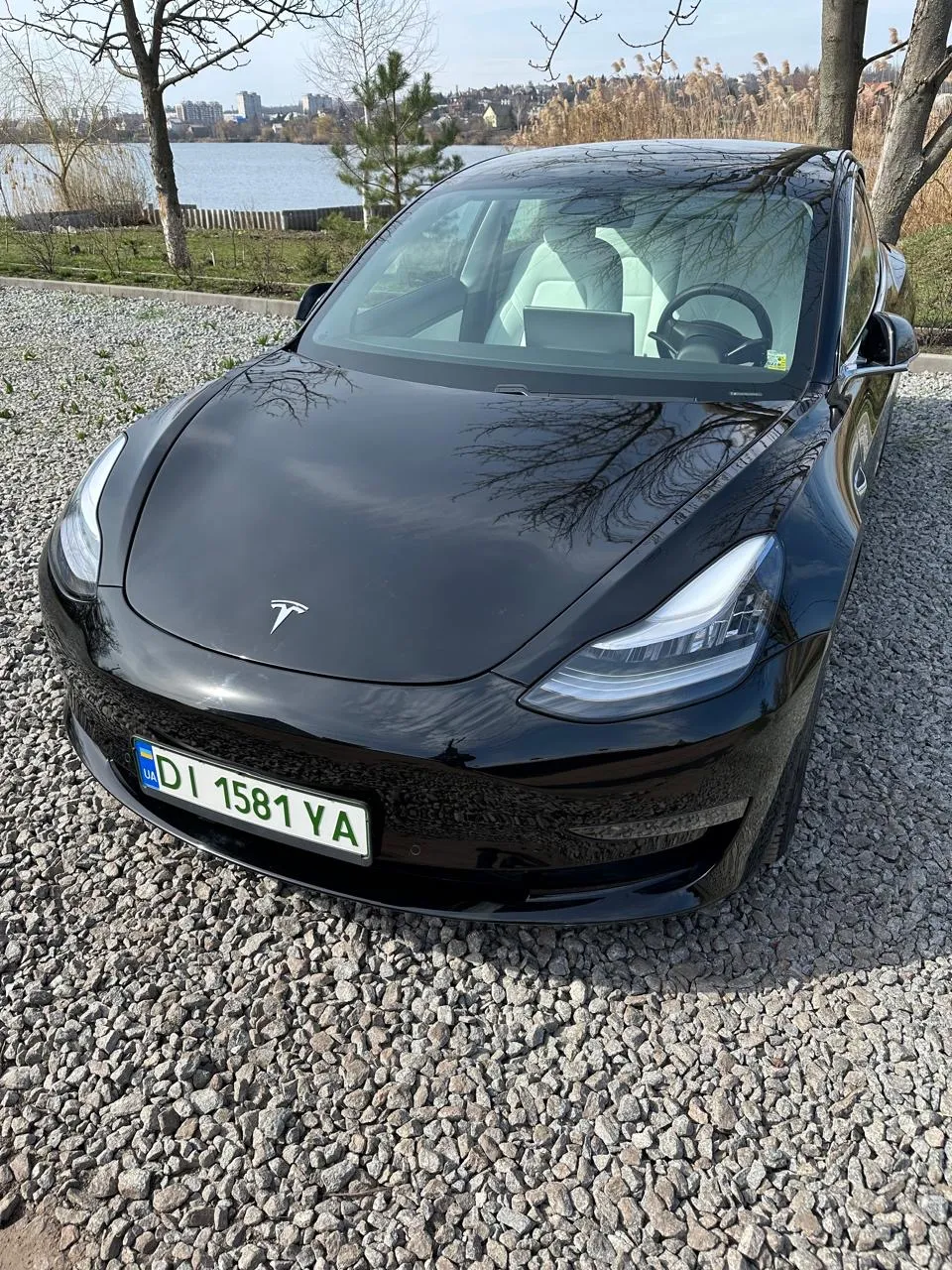 Tesla Model 3 - фото 2