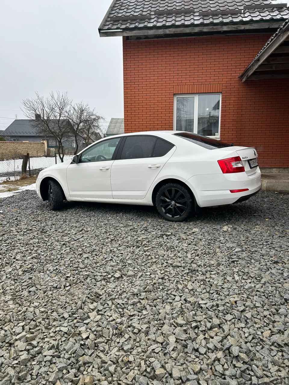 Skoda Octavia - фото 1