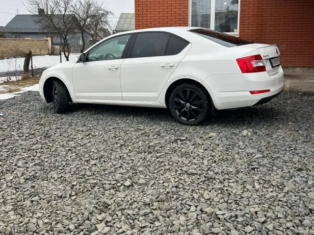 Skoda Octavia - фото 1
