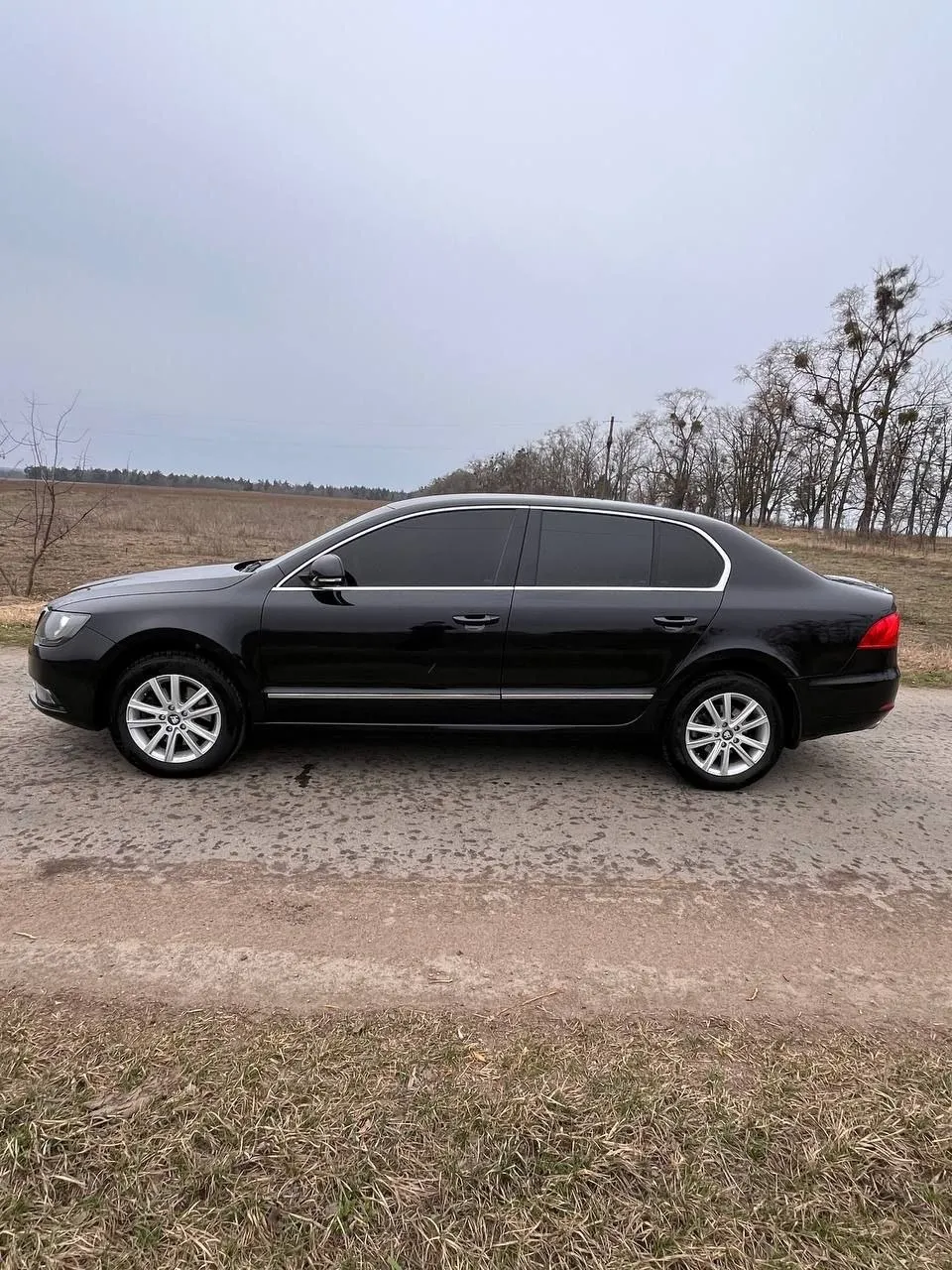 Skoda Superb - фото 2