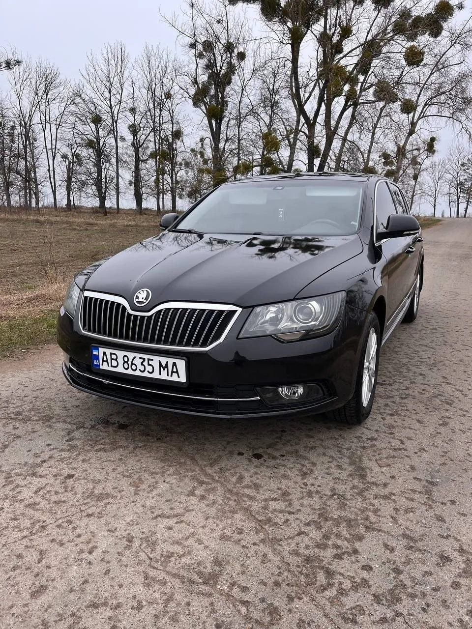 Skoda Superb - фото 1