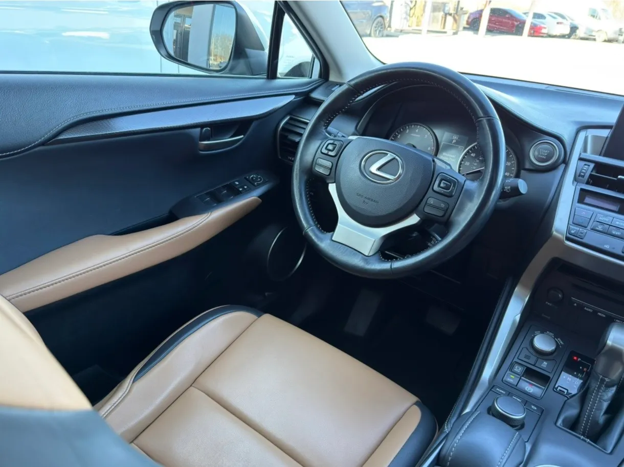 Lexus NX - фото 9