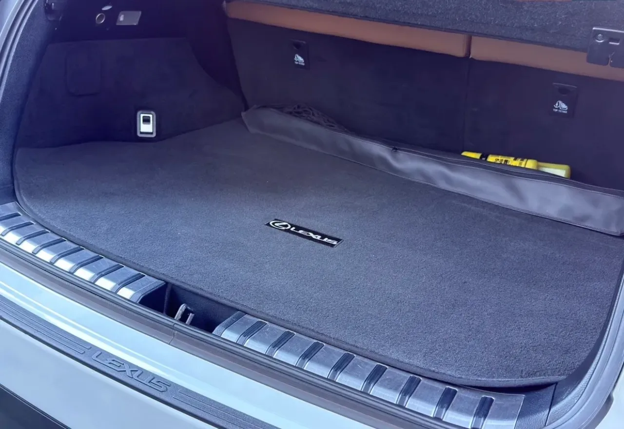 Lexus NX - фото 20