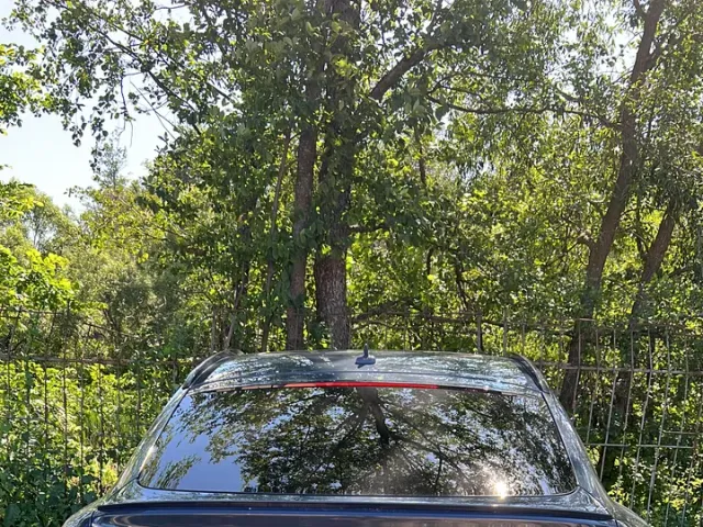 Audi e-tron Sportback - фото 1