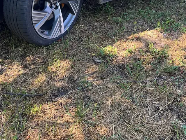 Audi e-tron Sportback - фото 3