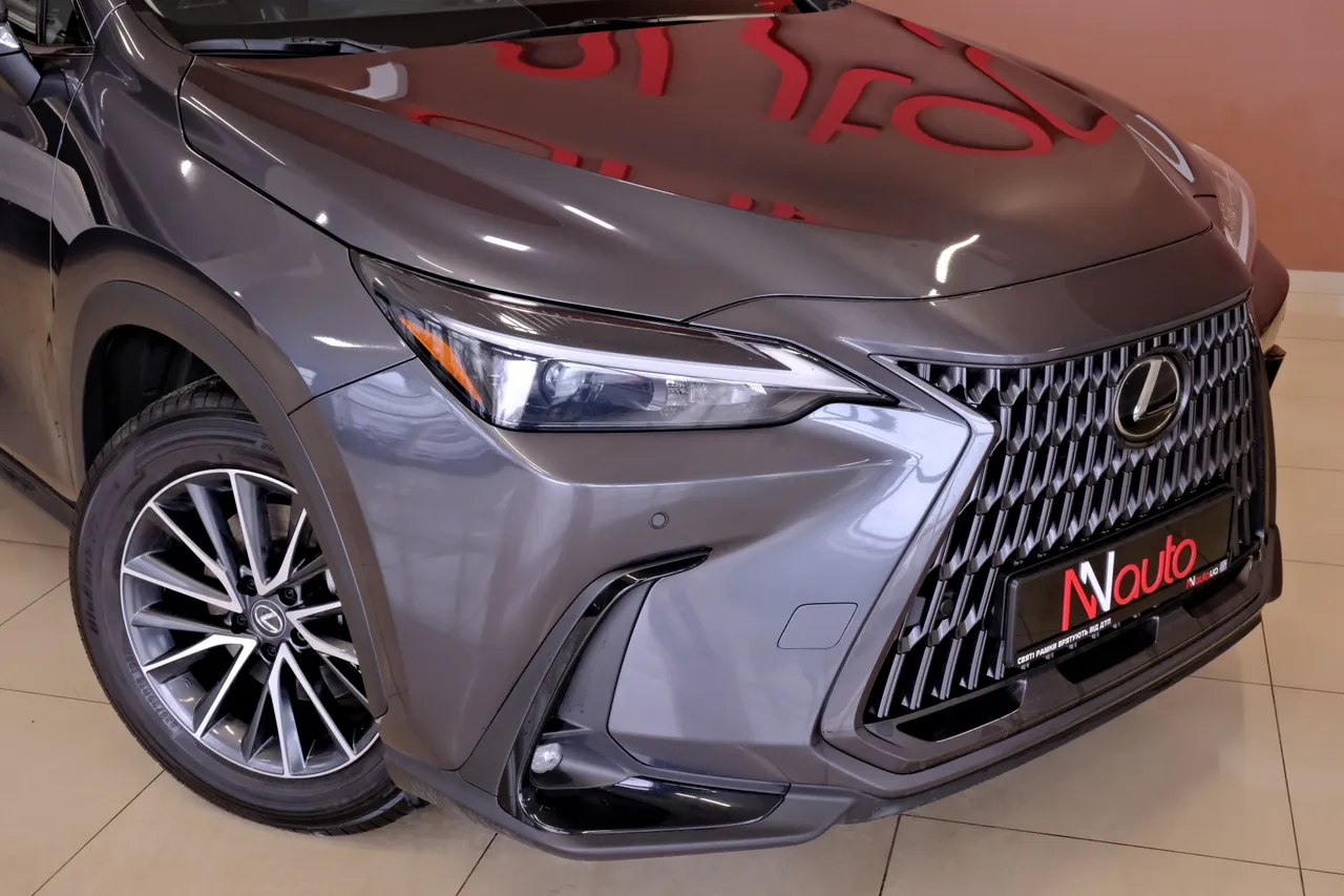 Lexus NX - фото 3