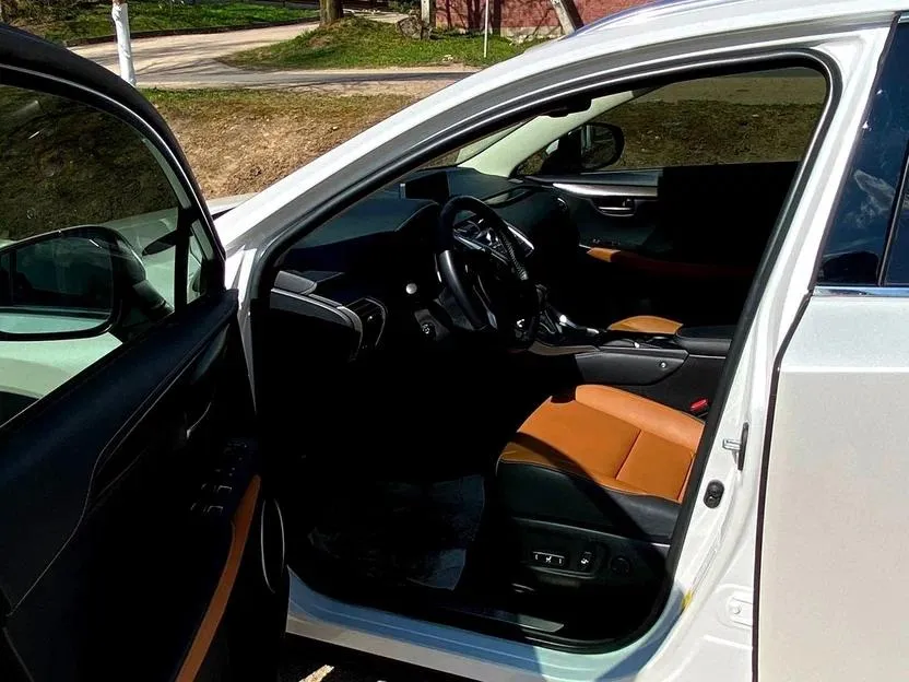 Lexus NX - фото 10