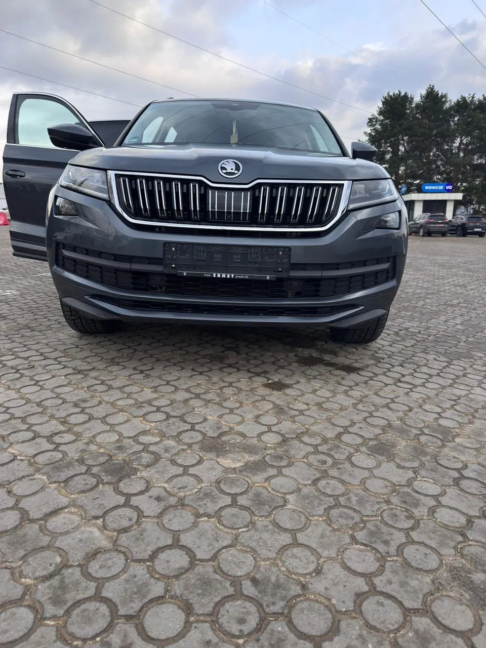 Skoda Kodiaq - фото 7