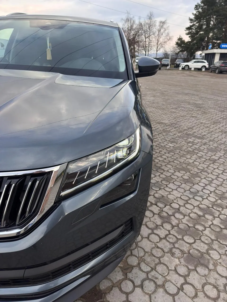 Skoda Kodiaq - фото 4