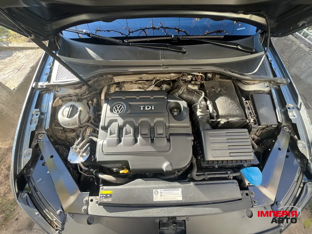 Volkswagen Passat - фото 25